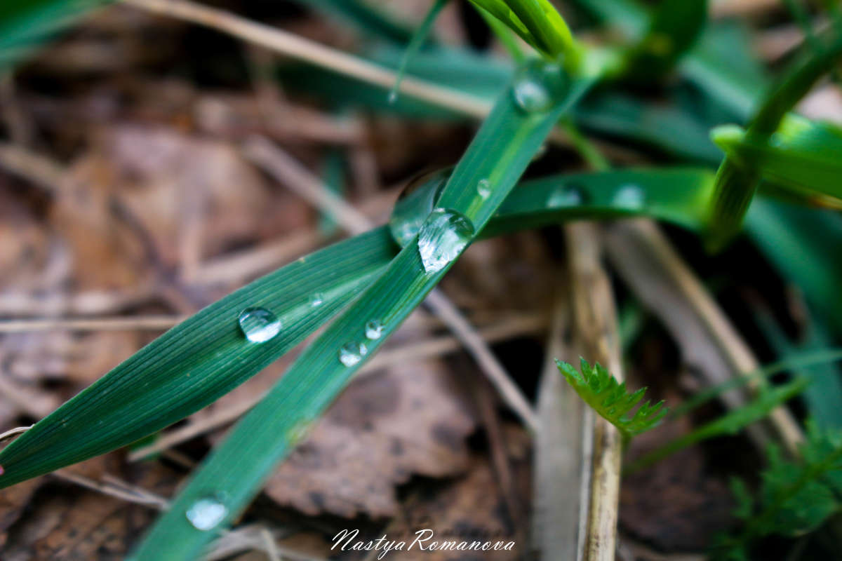 ����� �����... ����� ��������� ���������� �� PhotoGeek.ru #������ ��� ������� #����� ��������������