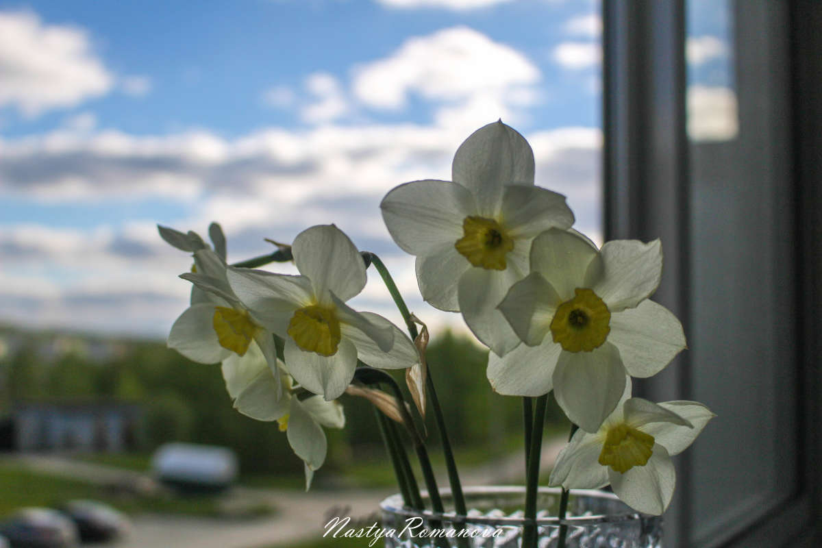 �������� ����� ��������� ���������� �� PhotoGeek.ru #������ ��� �������