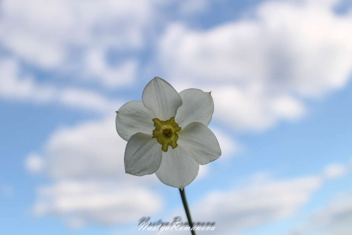 ... ����� ��������� ���������� �� PhotoGeek.ru #������ ��� �������