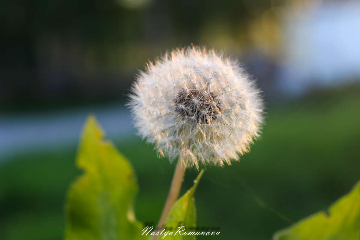 ���������) ����� ��������� ���������� �� PhotoGeek.ru #������ ��� ������� #����� ��������������