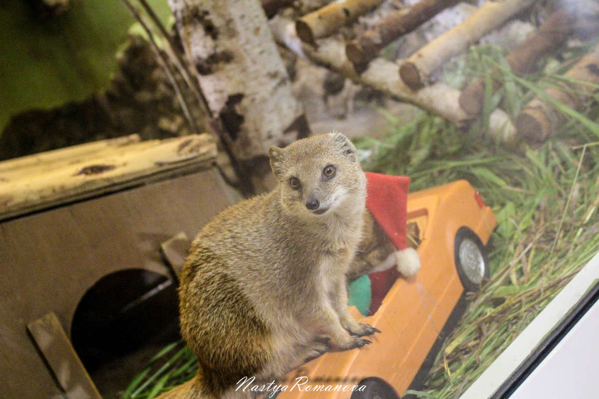 ��������))) ����� ��������� ���������� �� PhotoGeek.ru #�������� ��� #�������