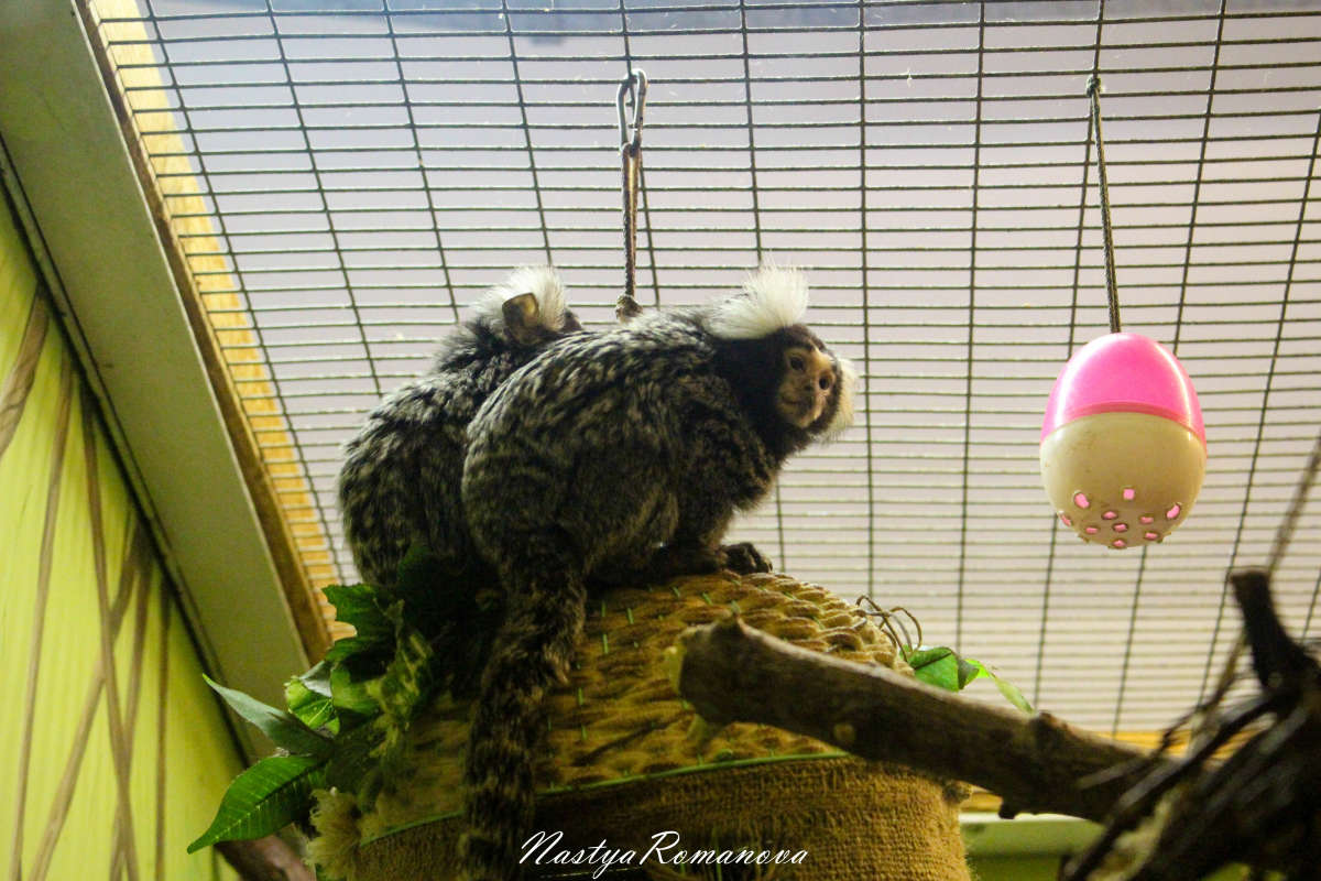 ... ����� ��������� ���������� �� PhotoGeek.ru #�������� ���