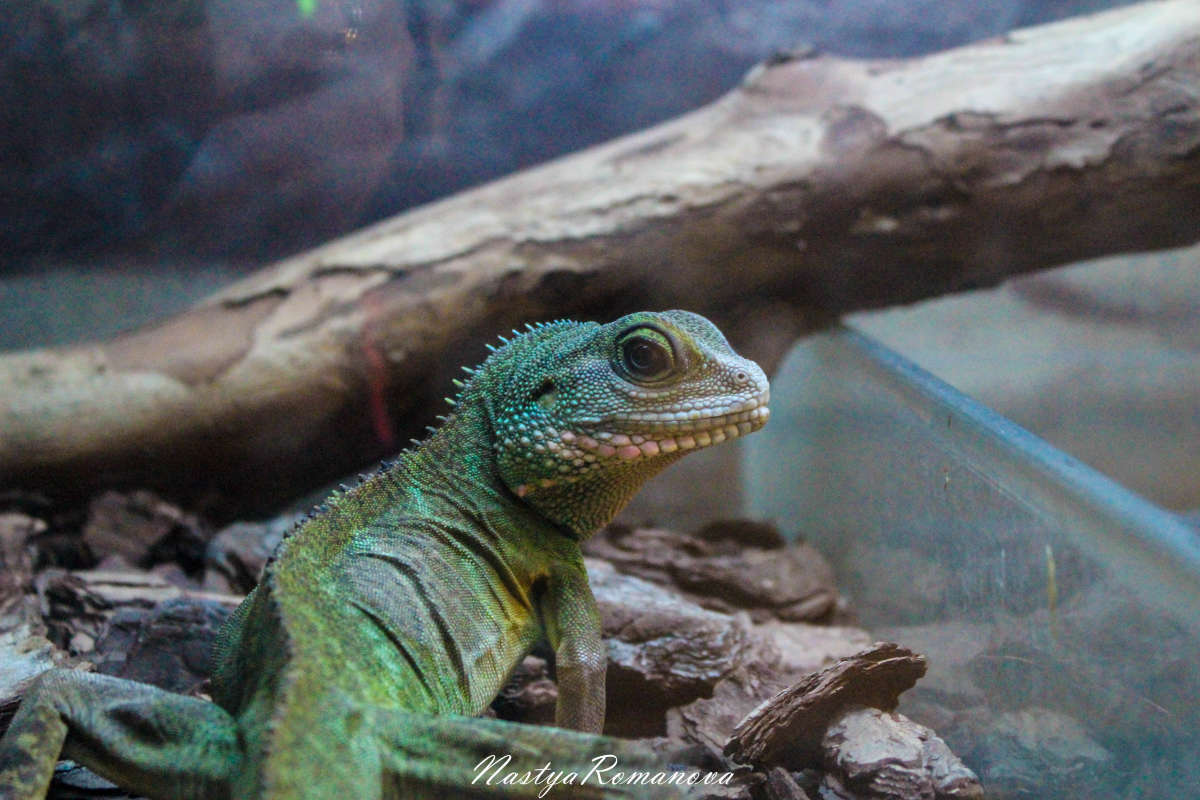 ... ����� ��������� ���������� �� PhotoGeek.ru #�������� ���