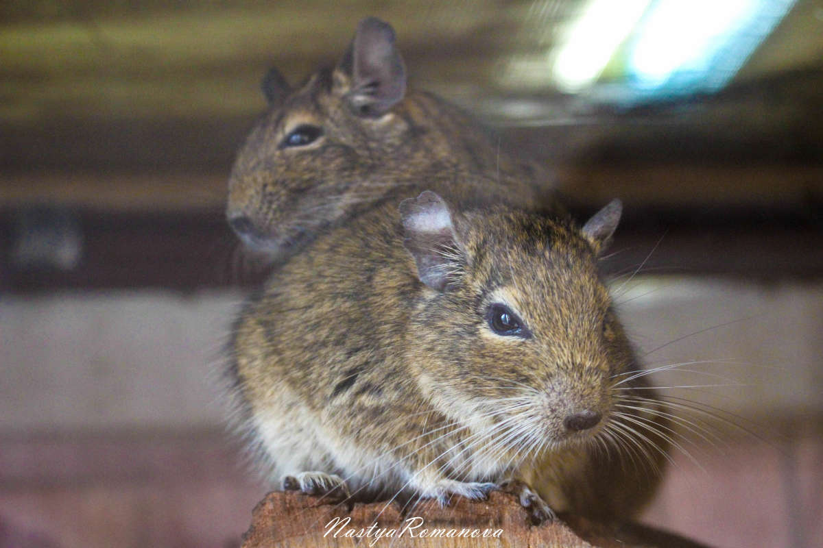 �������) ����� ��������� ���������� �� PhotoGeek.ru #�������� ���