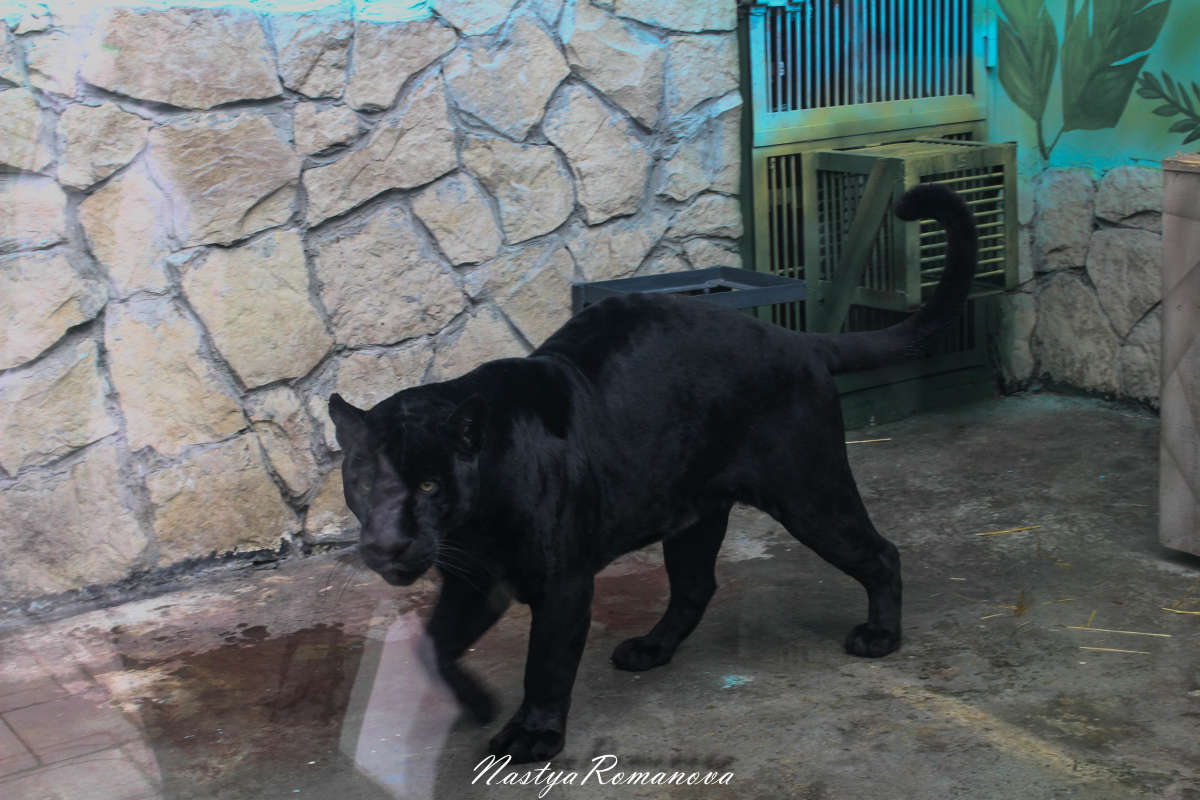 ����� ����� ��������� ���������� �� PhotoGeek.ru #�������� ���