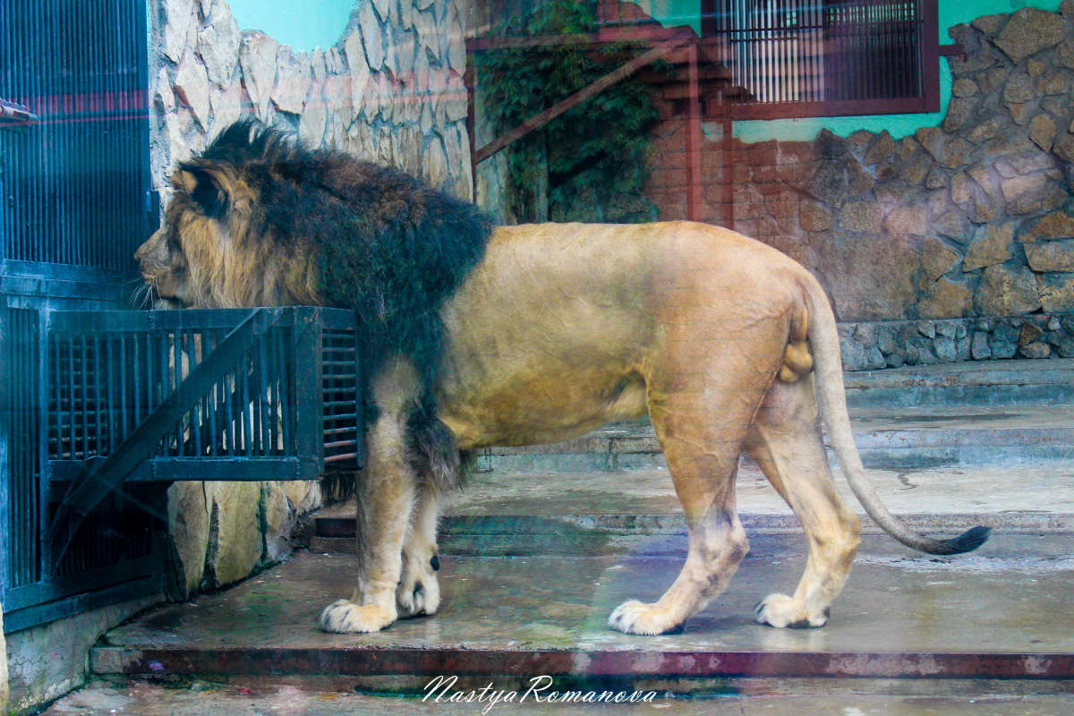 ����) ����� ��������� ���������� �� PhotoGeek.ru #�������� ���