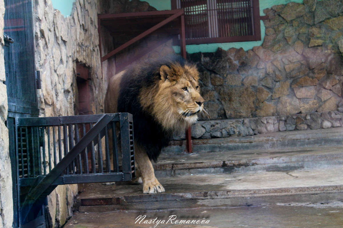 ���� ����� ��������� ���������� �� PhotoGeek.ru #�������� ���