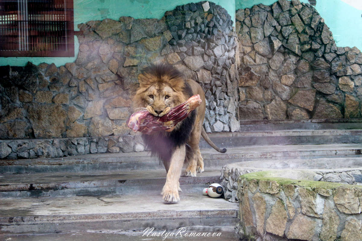 ... ����� ��������� ���������� �� PhotoGeek.ru #�������� ���