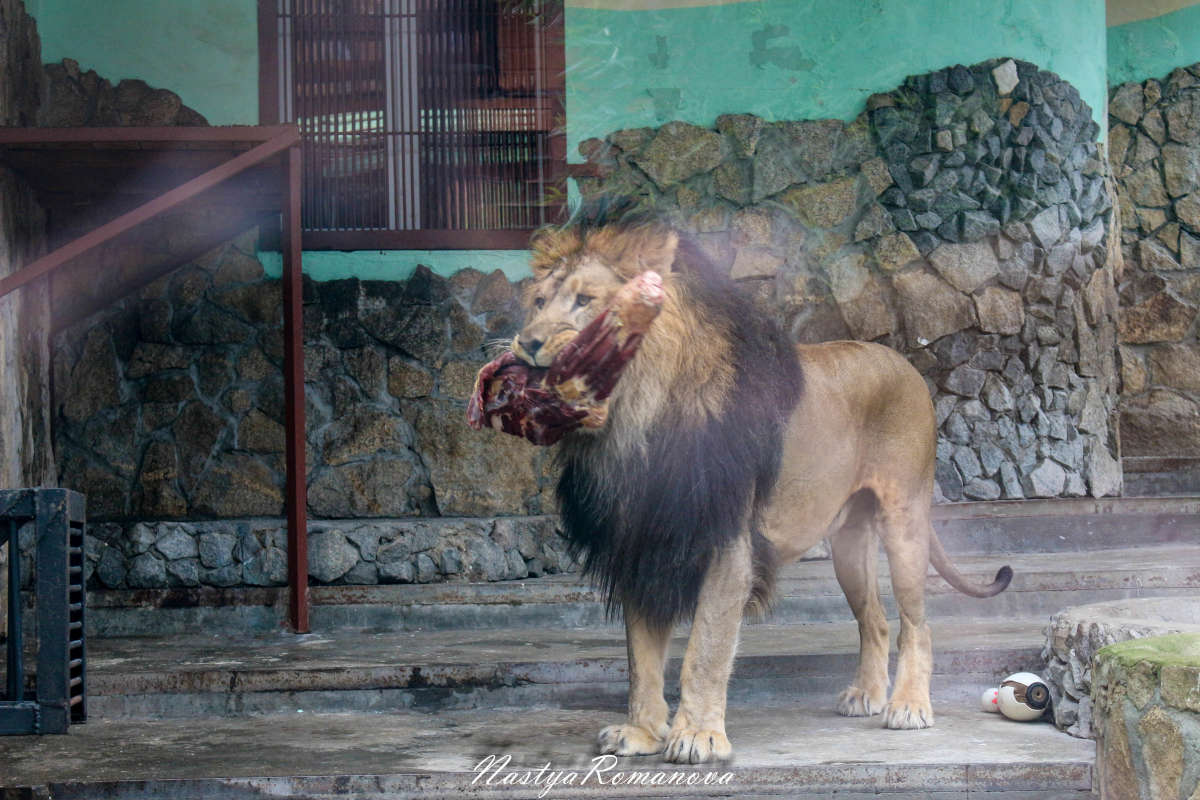 ... ����� ��������� ���������� �� PhotoGeek.ru #�������� ���