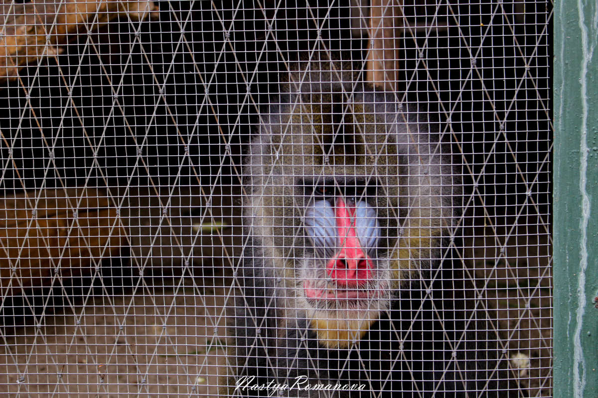 ... ����� ��������� ���������� �� PhotoGeek.ru #�������� ���