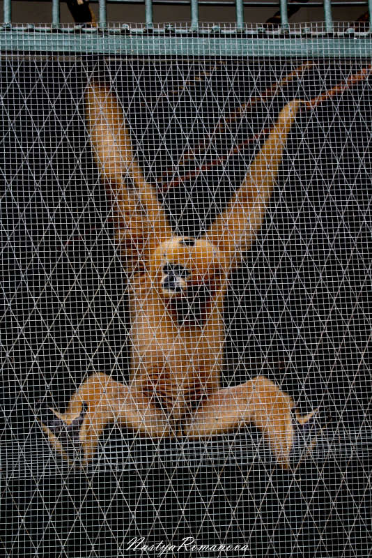 ... ����� ��������� ���������� �� PhotoGeek.ru #�������� ���