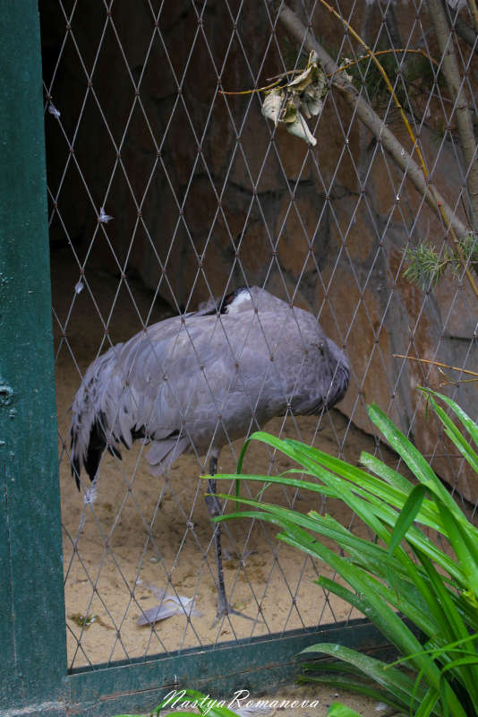 ... ����� ��������� ���������� �� PhotoGeek.ru #�������� ���