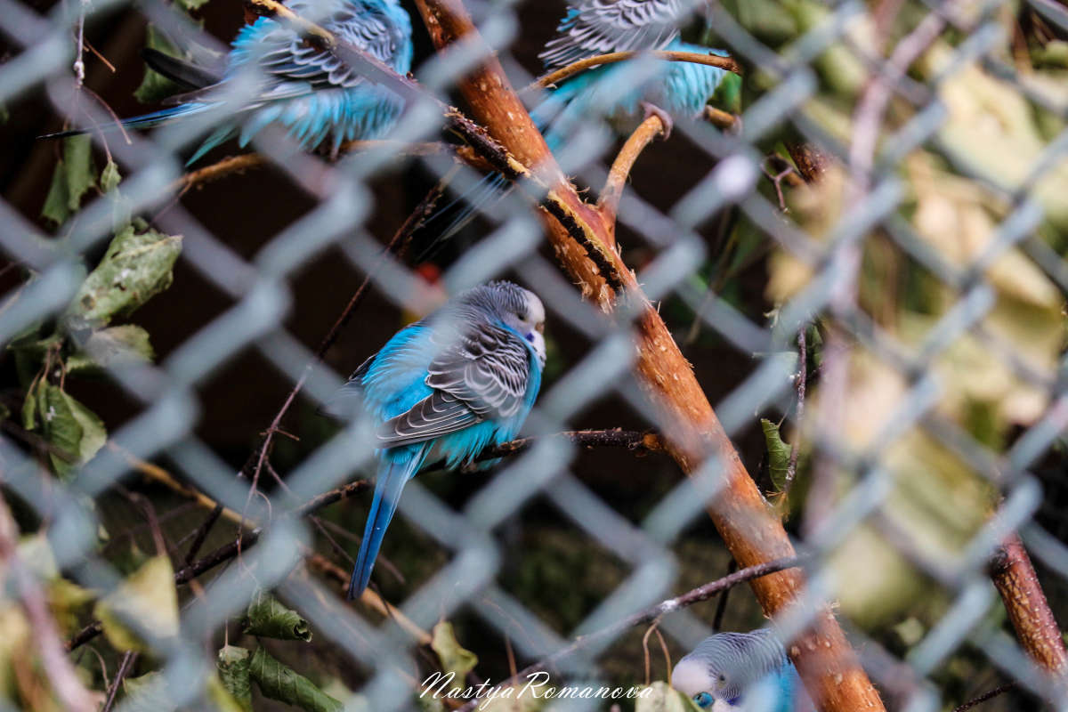 ... ����� ��������� ���������� �� PhotoGeek.ru #�������� ���