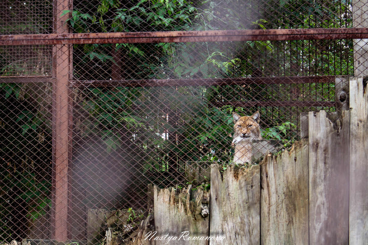 ���� ����� ��������� ���������� �� PhotoGeek.ru #�������� ���