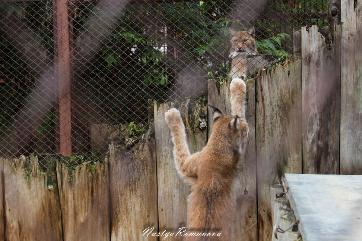 ������� ����� ��������� ���������� �� PhotoGeek.ru #�������� ���