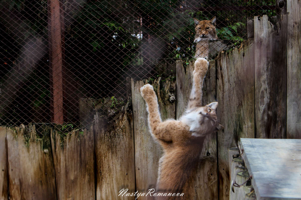 ... ����� ��������� ���������� �� PhotoGeek.ru #�������� ���