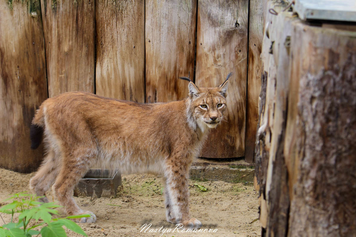 ... ����� ��������� ���������� �� PhotoGeek.ru #�������� ���