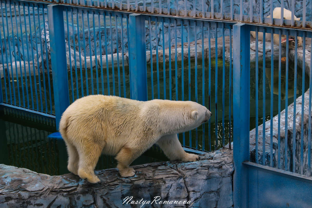 ����� ����� ����� ��������� ���������� �� PhotoGeek.ru #�������� ���