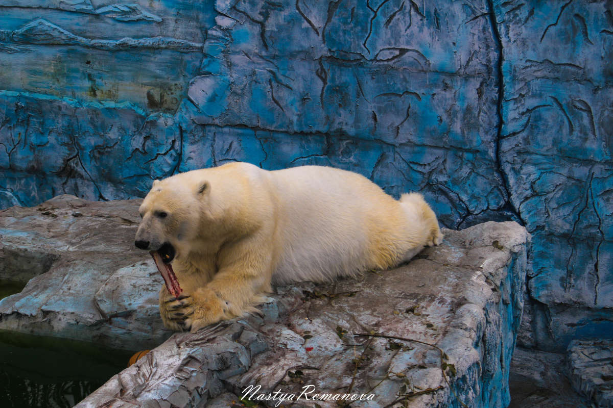 �������))) ����� ��������� ���������� �� PhotoGeek.ru #�������� ���