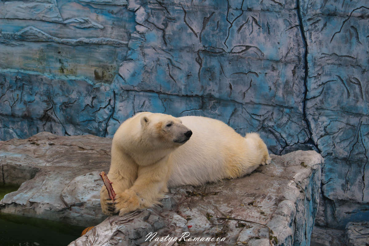 ... ����� ��������� ���������� �� PhotoGeek.ru #�������� ���