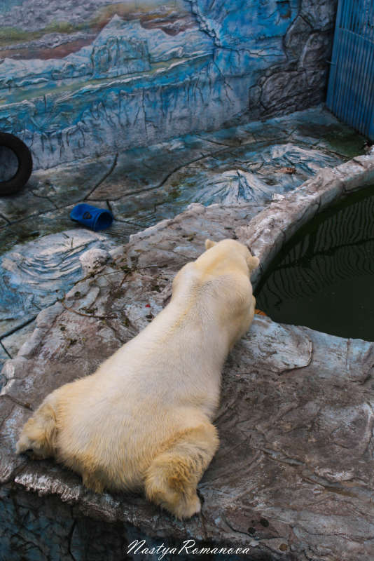 ���� ���, � ����� ������� ����))) ����� ��������� ���������� �� PhotoGeek.ru #�������� ���