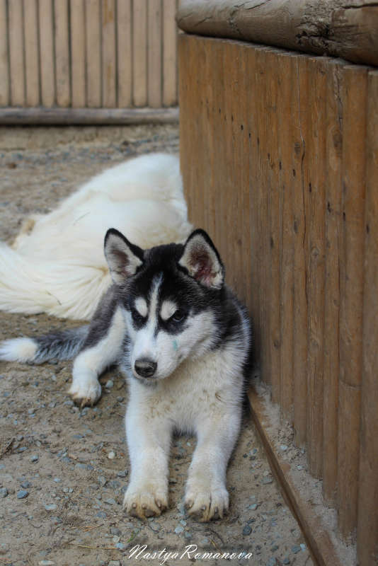 ������...)))) ����� ��������� ���������� �� PhotoGeek.ru #�������� ��� #�������