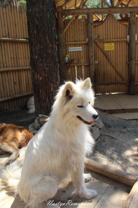 ... ����� ��������� ���������� �� PhotoGeek.ru #�������� ���