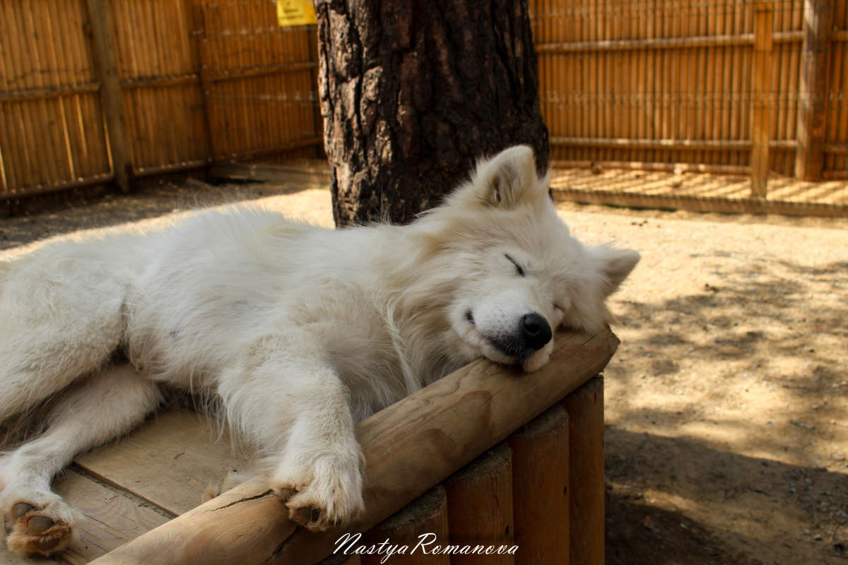 ���� ������� �������....))) ����� ��������� ���������� �� PhotoGeek.ru #�������� ��� #�������