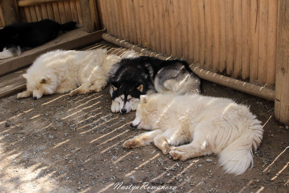 �������� � ������� ����� ��������� ���������� �� PhotoGeek.ru #�������� ��� #���������