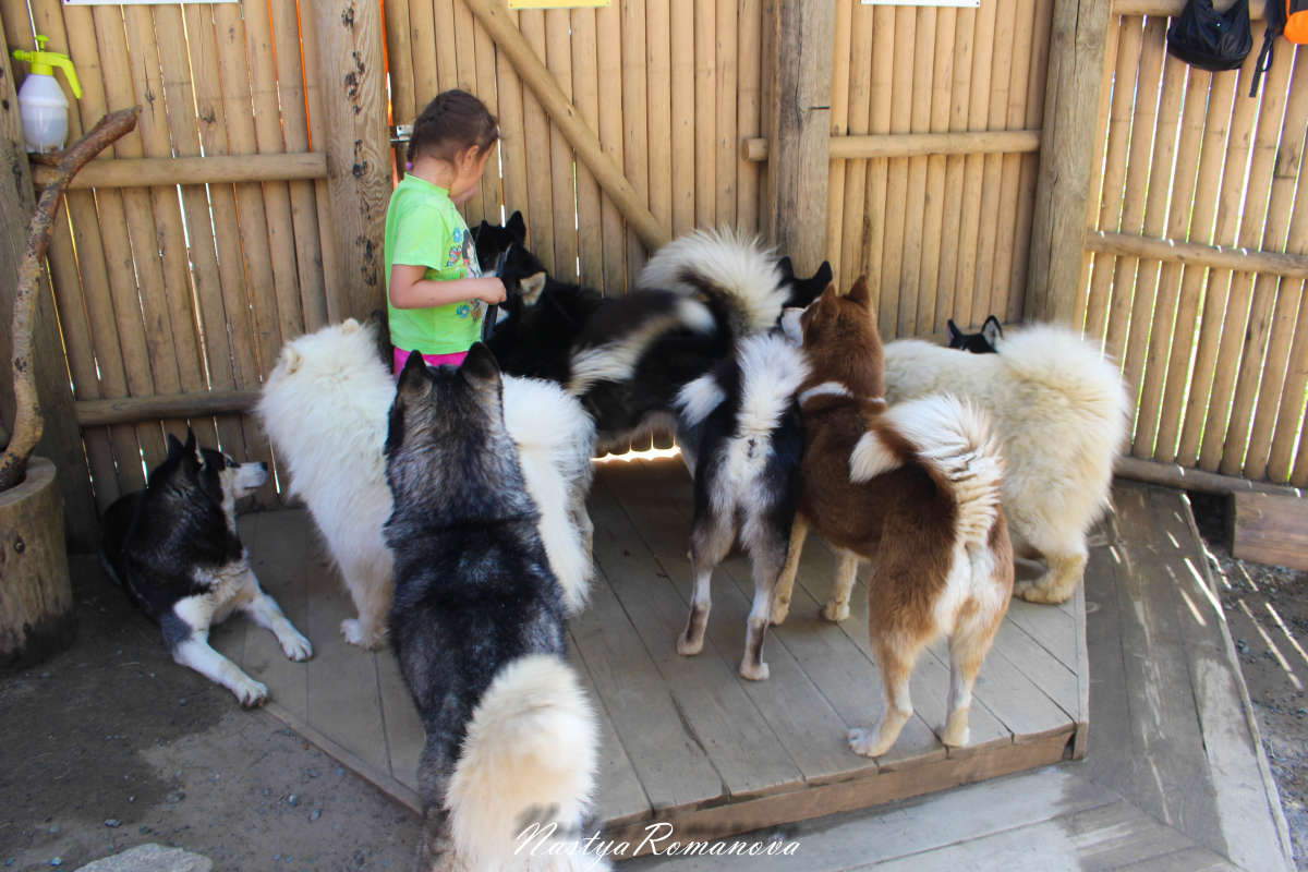 ��������� ����� ��������� ���������� �� PhotoGeek.ru #�������� ���