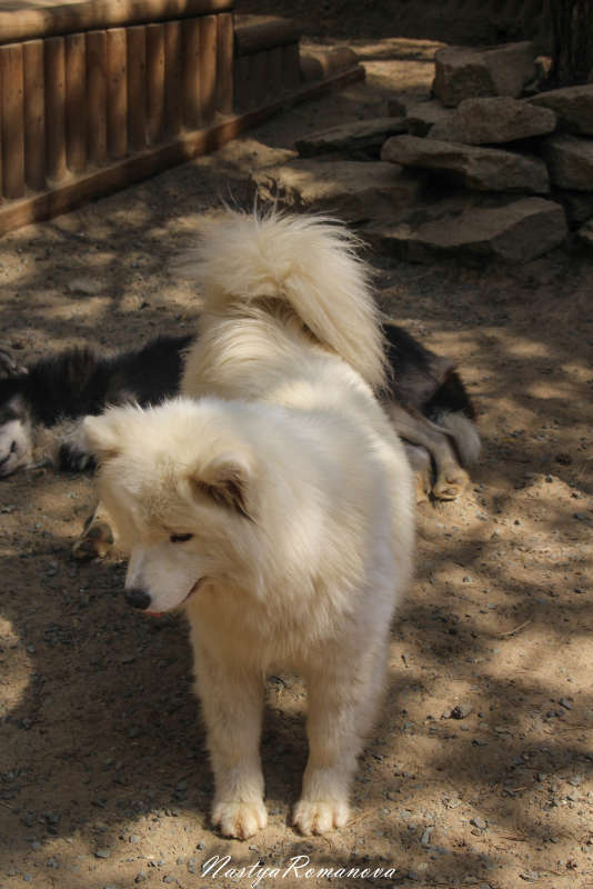 ... ����� ��������� ���������� �� PhotoGeek.ru #�������� ���