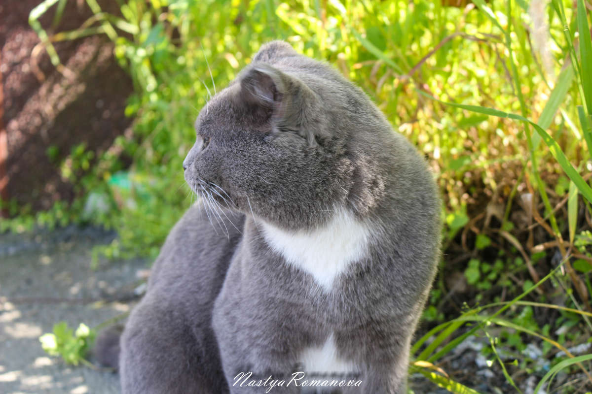 ... ����� ��������� ���������� �� PhotoGeek.ru #�������� ���