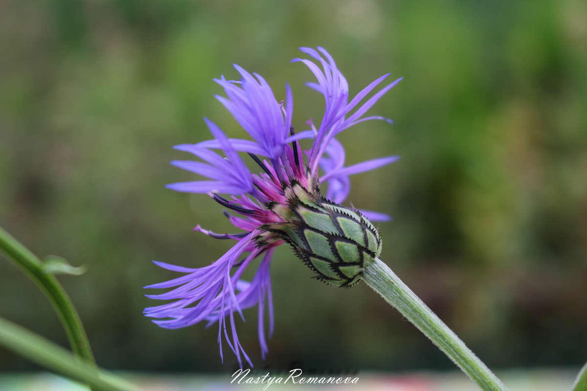 ������� ����� ��������� ���������� �� PhotoGeek.ru #������ ��� ������� #����� ��������������