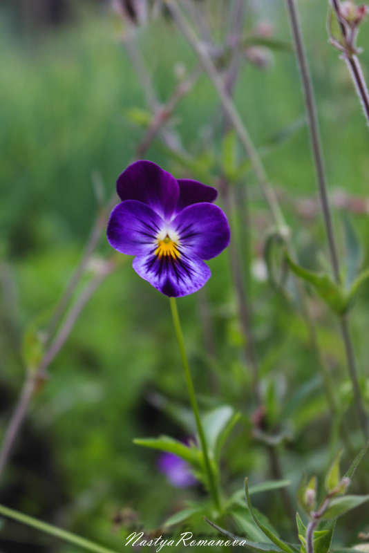 ��������� ����� ��������� ���������� �� PhotoGeek.ru #������ ��� ������� #����� ��������������