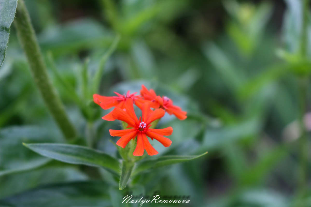 ... ����� ��������� ���������� �� PhotoGeek.ru #������ ��� ������� #����� ��������������