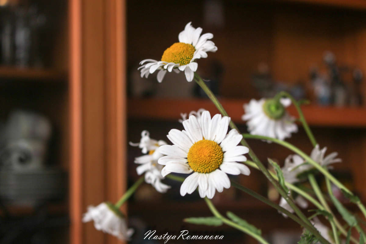 ... ����� ��������� ���������� �� PhotoGeek.ru #����� #����� ��������������