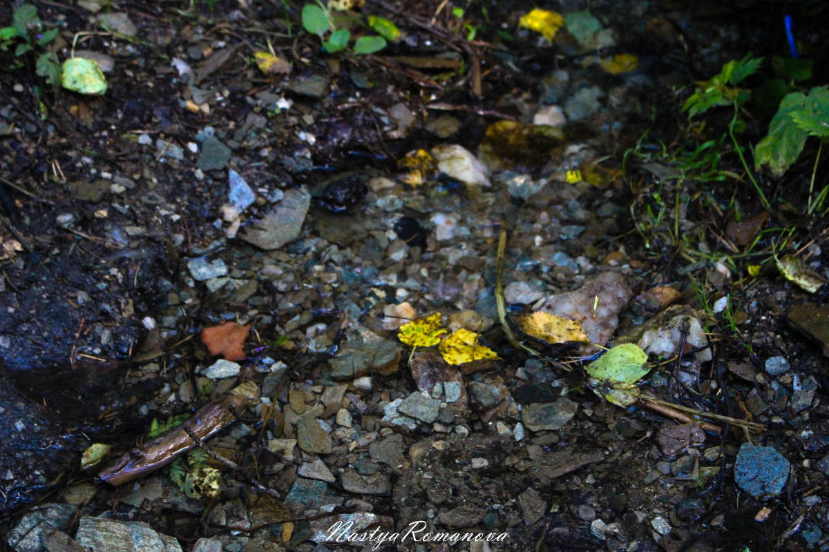 ... ����� ��������� ���������� �� PhotoGeek.ru #������ ��� ������� #����� ��������