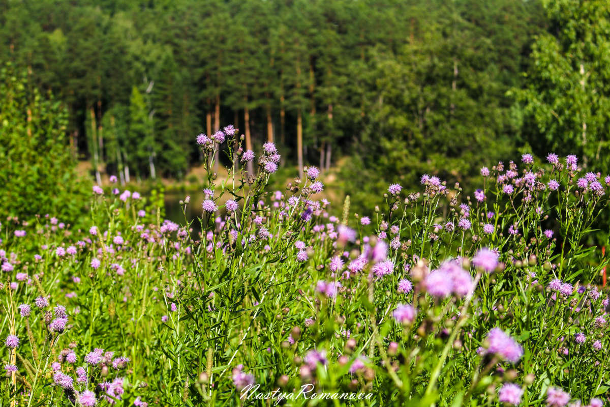 ... ����� ��������� ���������� �� PhotoGeek.ru #������ ��� ������� #����� ��������������