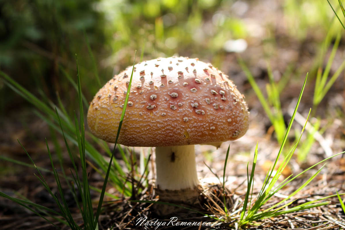 ��������� ����� ��������� ���������� �� PhotoGeek.ru #������ ��� ������� #����� �������������� #����� ��������