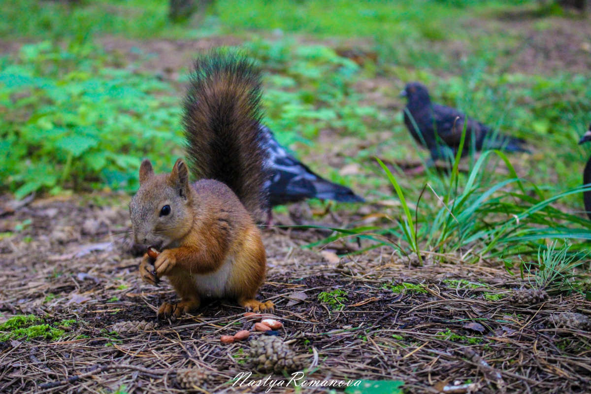 ... ����� ��������� ���������� �� PhotoGeek.ru #�������� ���