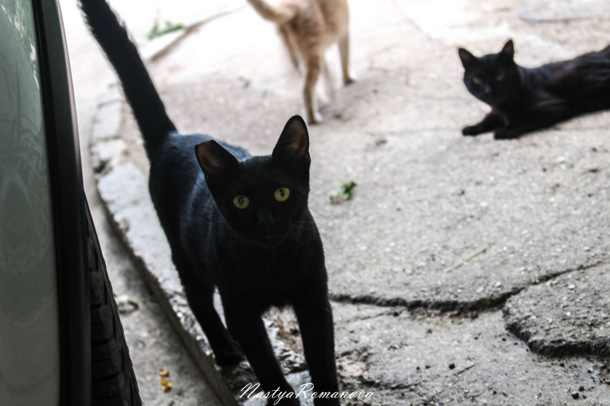 �������� �����_2 ����� ��������� ���������� �� PhotoGeek.ru #�������� ���