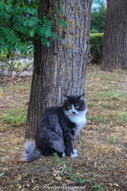 �������� �����_3 ����� ��������� ���������� �� PhotoGeek.ru #�������� ���