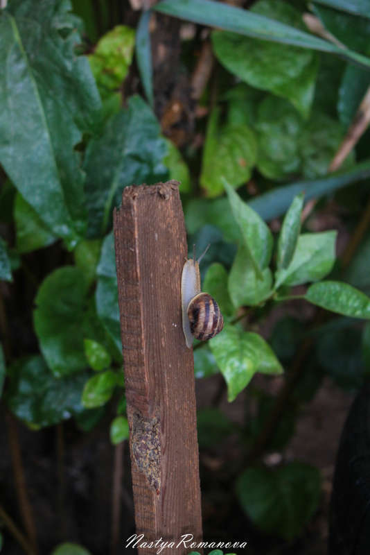 ���� �����, ������ ������) ����� ��������� ���������� �� PhotoGeek.ru #�������� ���