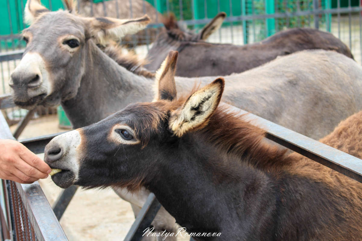 ����� ����� ��������� ���������� �� PhotoGeek.ru #�������� ���