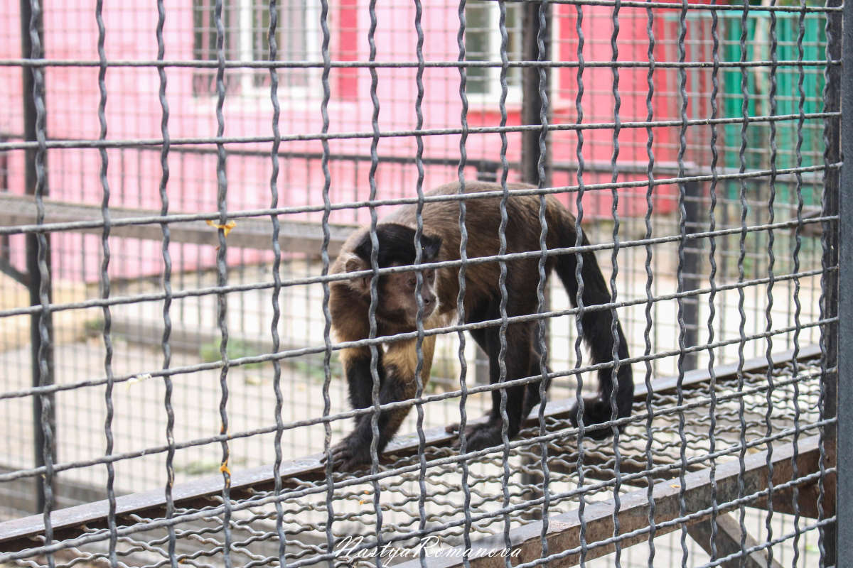 ... ����� ��������� ���������� �� PhotoGeek.ru #�������� ���