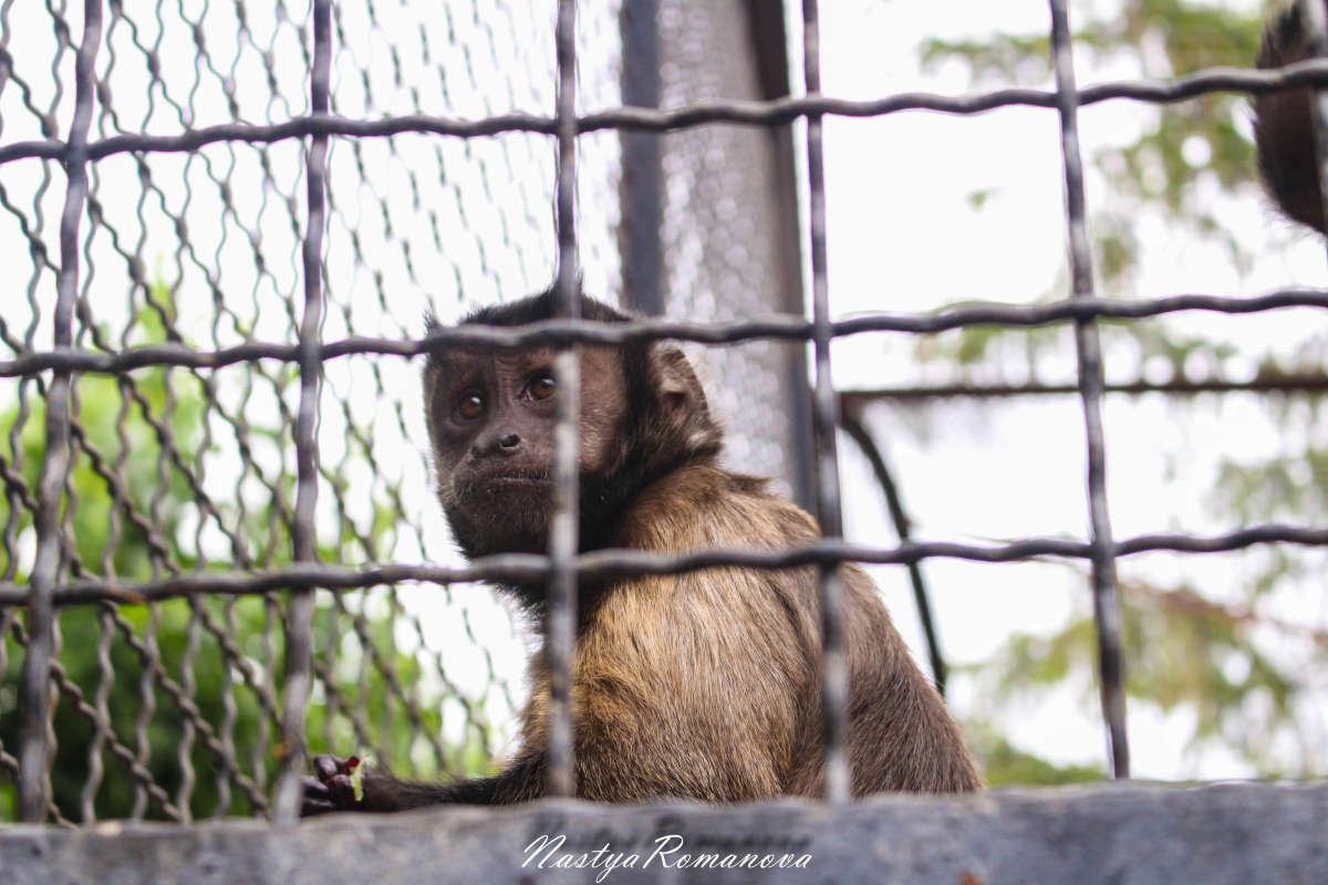 ... ����� ��������� ���������� �� PhotoGeek.ru #�������� ���