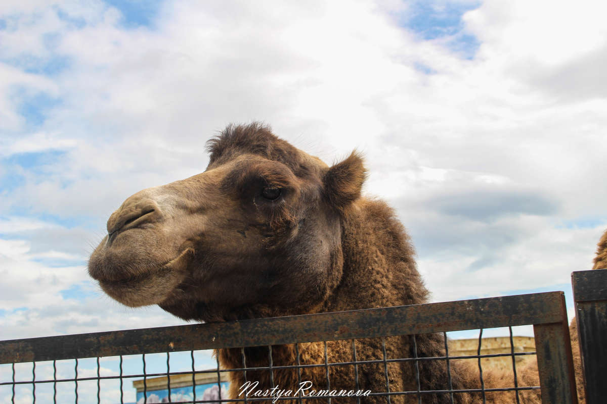 ... ����� ��������� ���������� �� PhotoGeek.ru #�������� ���