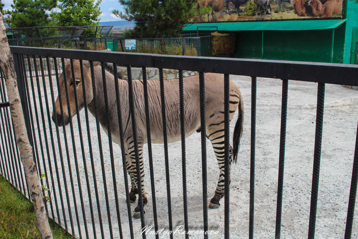 ... ����� ��������� ���������� �� PhotoGeek.ru #�������� ���