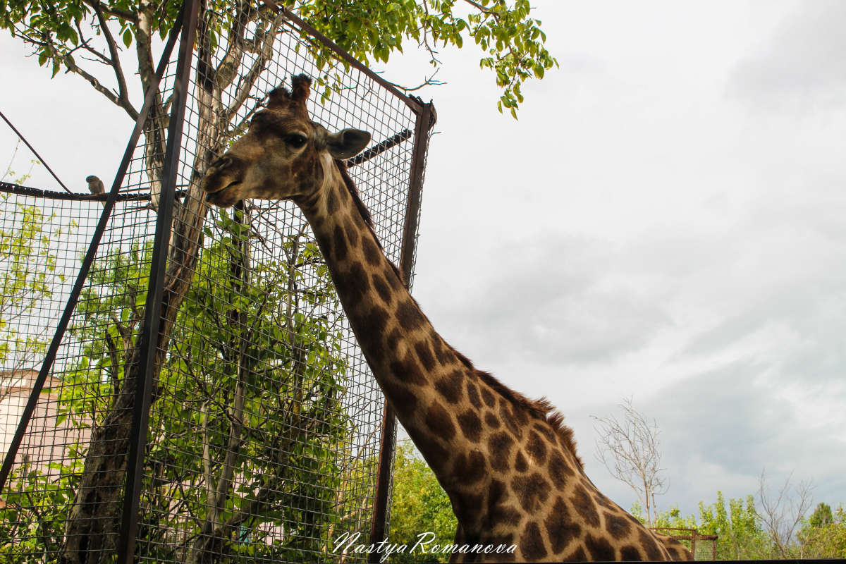 ... ����� ��������� ���������� �� PhotoGeek.ru #�������� ���