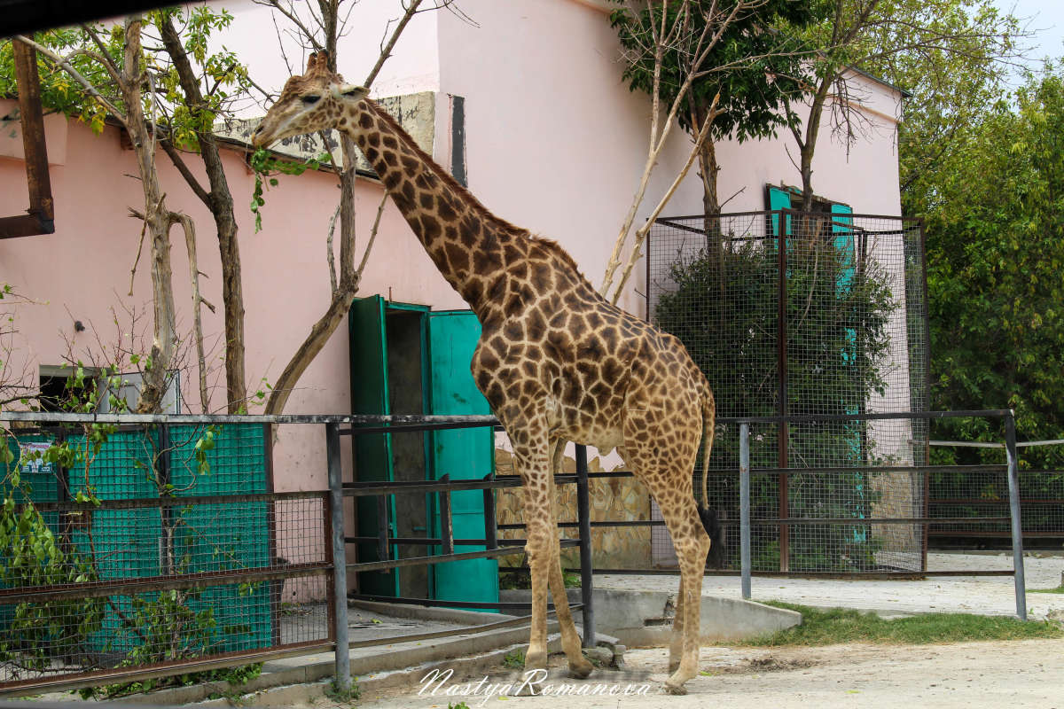 ��� ���� ���������)) ����� ��������� ���������� �� PhotoGeek.ru #�������� ���